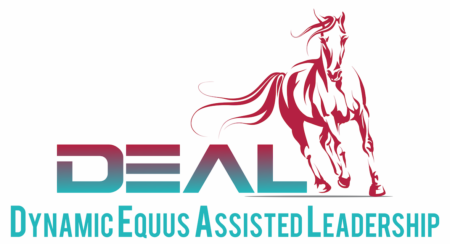 Equus Coaching DEAL